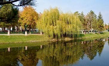 Kayseri Çıkışlı Günübirlik Eskişehir Turu
